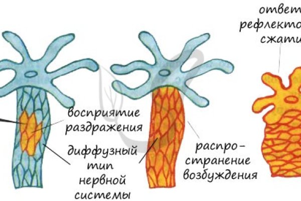 Кракен даркнет ссылка зеркало