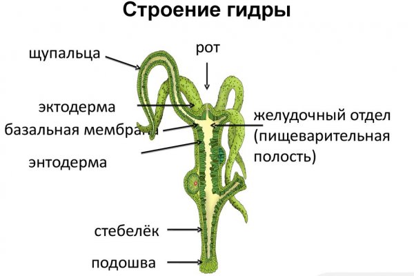 Kraken ссылка зеркало официальный сайт